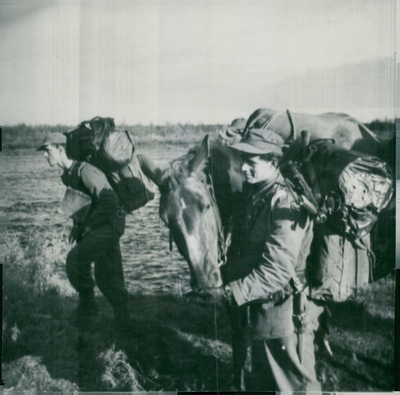 Swedish Military Field Manuevers 1952-1953 - Vintage Photograph