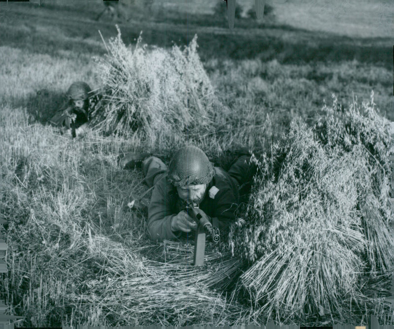 Swedish Military Field Manuevers 1950-1951 - Vintage Photograph