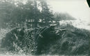 Field maneuvers 1926-1928 - Vintage Photograph