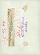 Swedish Military Emergency Service Field manueuver July-Dec 1944 - Vintage Photograph