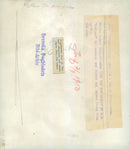 Ingvar Ãberg dog Puck board the vessel Gotland - Vintage Photograph