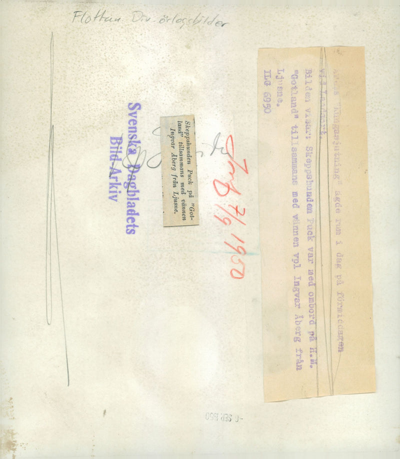 Ingvar Ãberg dog Puck board the vessel Gotland - Vintage Photograph