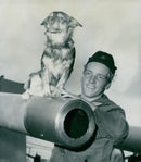 Ingvar Ãberg dog Puck board the vessel Gotland - Vintage Photograph