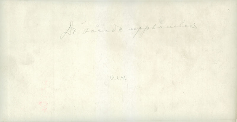 De sÃ¥rade samlades upp, fÃ¤ltmanÃ¶ver - Vintage Photograph