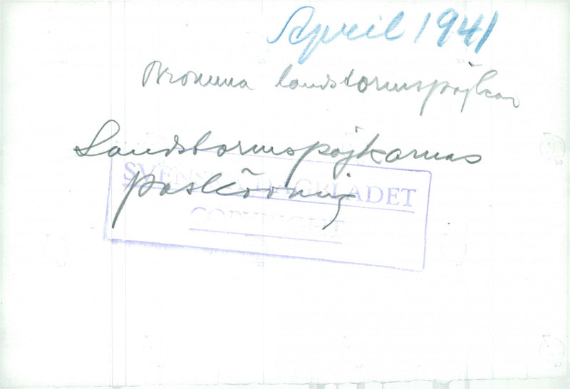 Swedish Military Landsturm Youth 1941 - Vintage Photograph