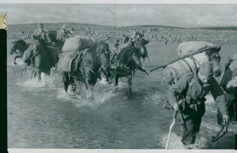 Swedish Military Field Manuevers 1950-1951 - Vintage Photograph