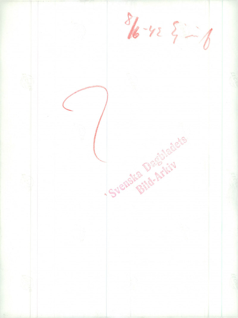 Swedish Military Landsturm Youth 1941 - Vintage Photograph