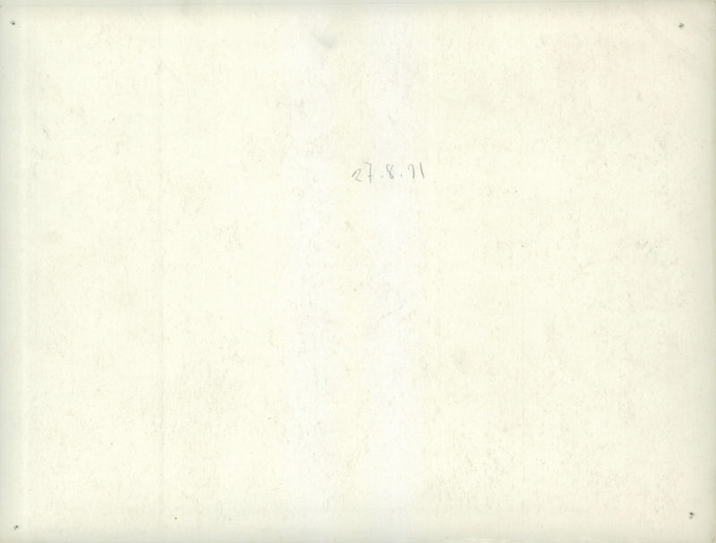 Soldiers gathered in the village, holding gun and standing at check post. - 26 August 1931 - Vintage Photograph