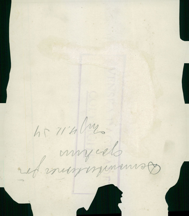 Swedish military air defense 1937 and earlier - Vintage Photograph