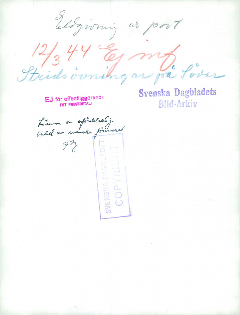 Swedish Military Field maneuvers Jan-June 1944 - Vintage Photograph