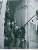 Swedish Military Field maneuvers Jan-June 1944 - Vintage Photograph