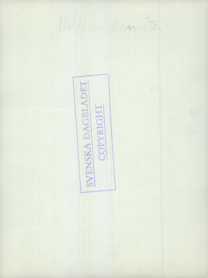 Swedish Military Army Dogs - Vintage Photograph