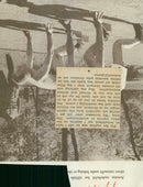 Swedish Military and Army 1941-1943 - Vintage Photograph