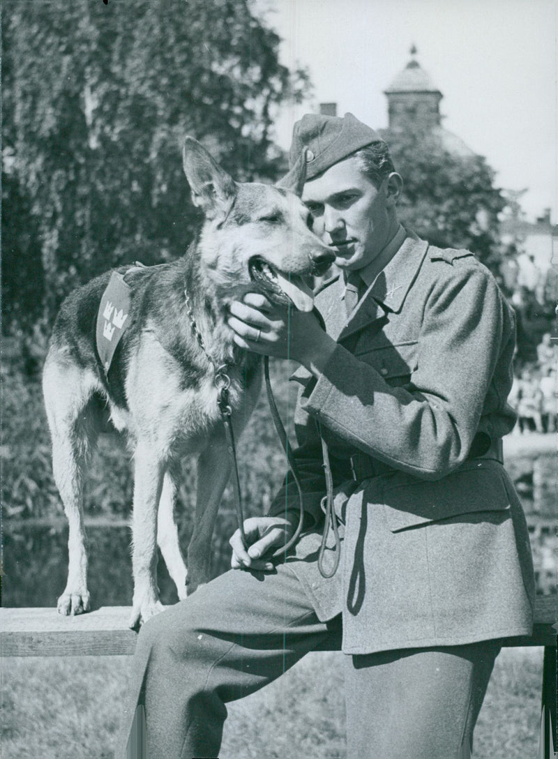 Swedish Military Army Dogs - Vintage Photograph