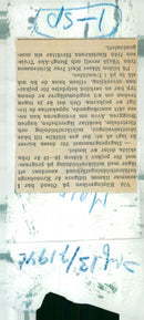 Swedish Military Landsturm Youth 1941 - Vintage Photograph