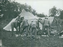 Set of tents at field operation. - Vintage Photograph
