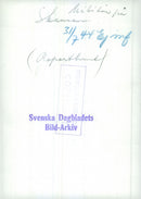 Swedish Military Army Dogs - Vintage Photograph