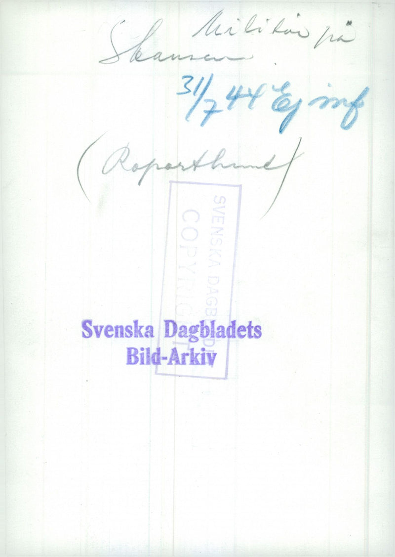 Swedish Military Army Dogs - Vintage Photograph