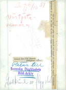 Swedish Military Field Manuevers 1950-1951 - Vintage Photograph