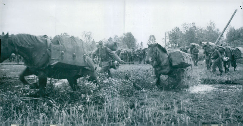 Swedish Military Field Manuevers 1950-1951 - Vintage Photograph