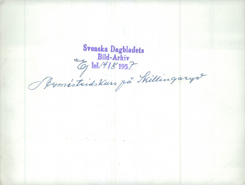 Swedish Military Army Dogs - Vintage Photograph