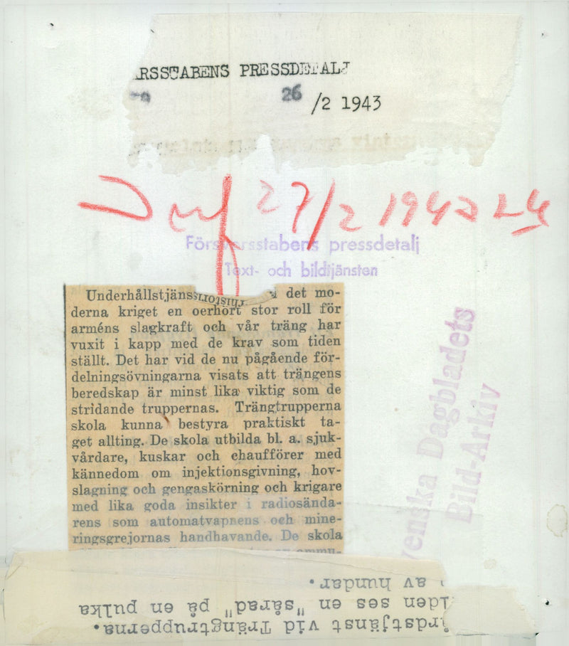 Swedish Military Army Dogs - Vintage Photograph