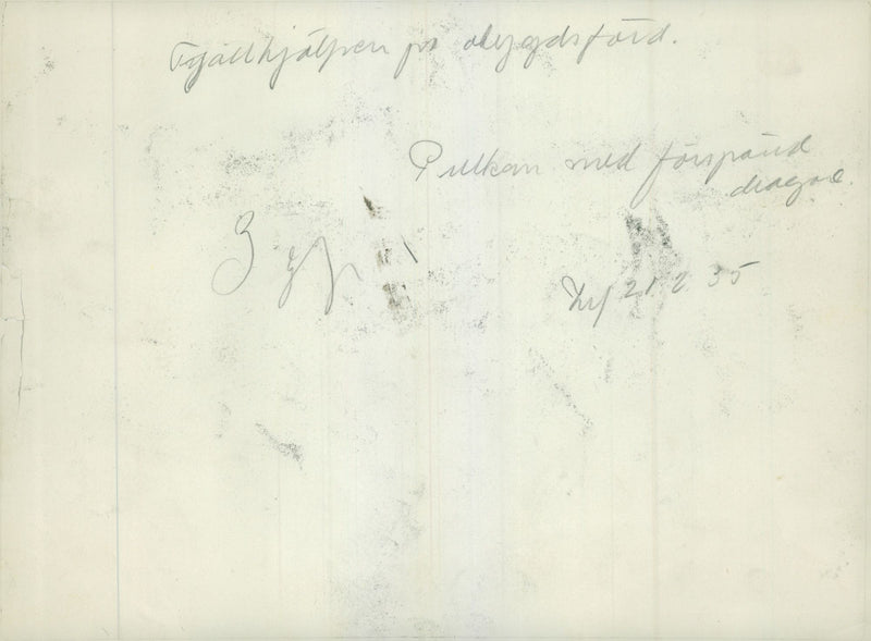 Swedish Military Army Dogs - Vintage Photograph