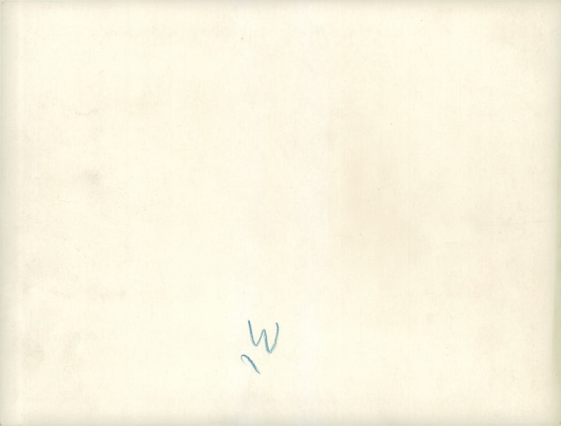 Field maneuver - Vintage Photograph