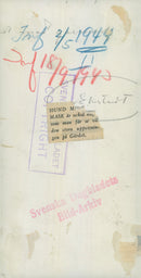 Swedish Military Army Dogs - Vintage Photograph