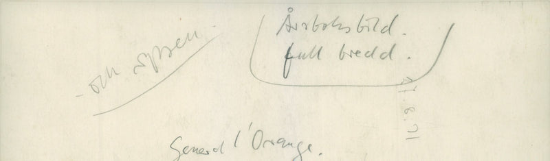 Field maneuver - Vintage Photograph