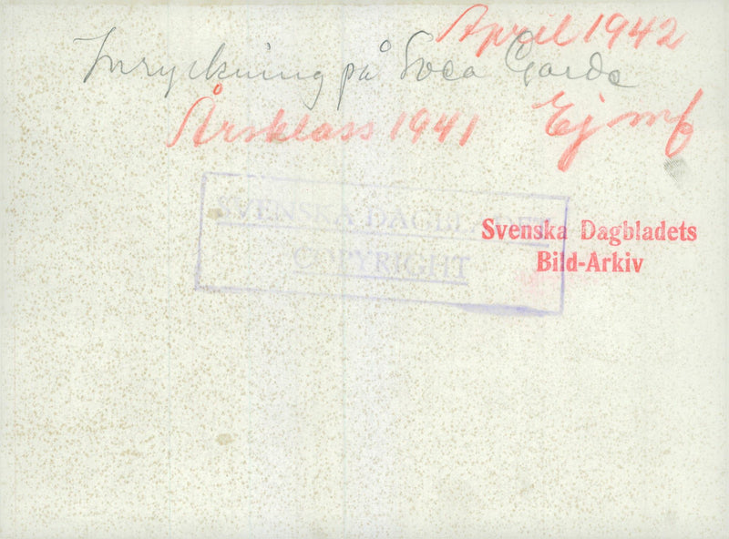 Swedish Military and Army 1941-1943 - Vintage Photograph