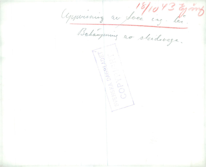 Swedish Military and Army 1941-1943 - Vintage Photograph