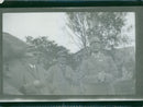 Field maneuvers 1926-1928 - Vintage Photograph