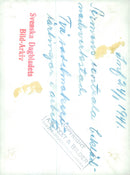 Swedish Military and Army 1941-1943 - Vintage Photograph