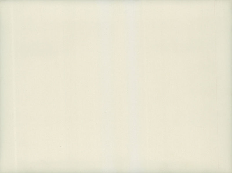 Field maneuvers 1926-1928 - Vintage Photograph