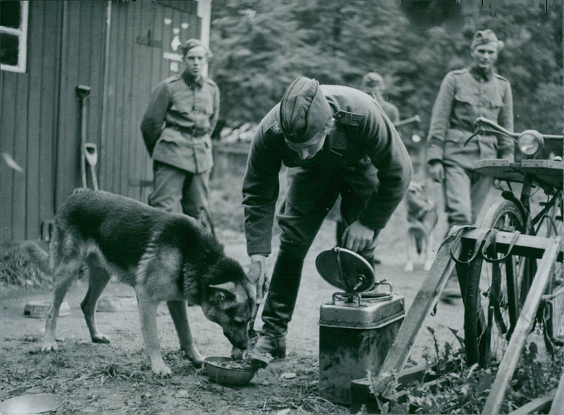 Swedish Military Landsturm Youth 1941 - Vintage Photograph