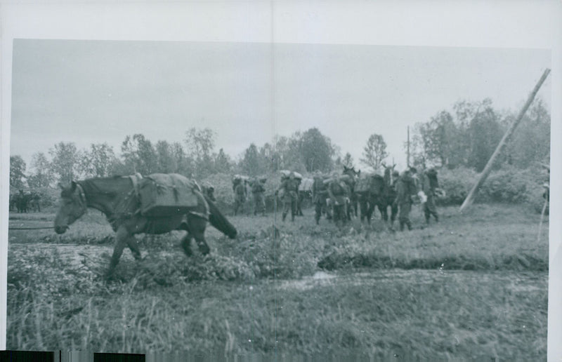 Swedish Military Field Manuevers 1950-1951 - Vintage Photograph