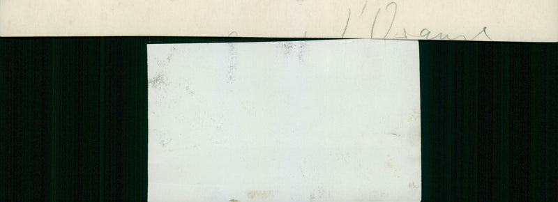 Field maneuver - Vintage Photograph