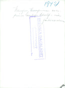 Swedish Military and Army 1941-1943 - Vintage Photograph