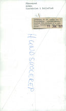 Swedish Military Army Dogs - Vintage Photograph