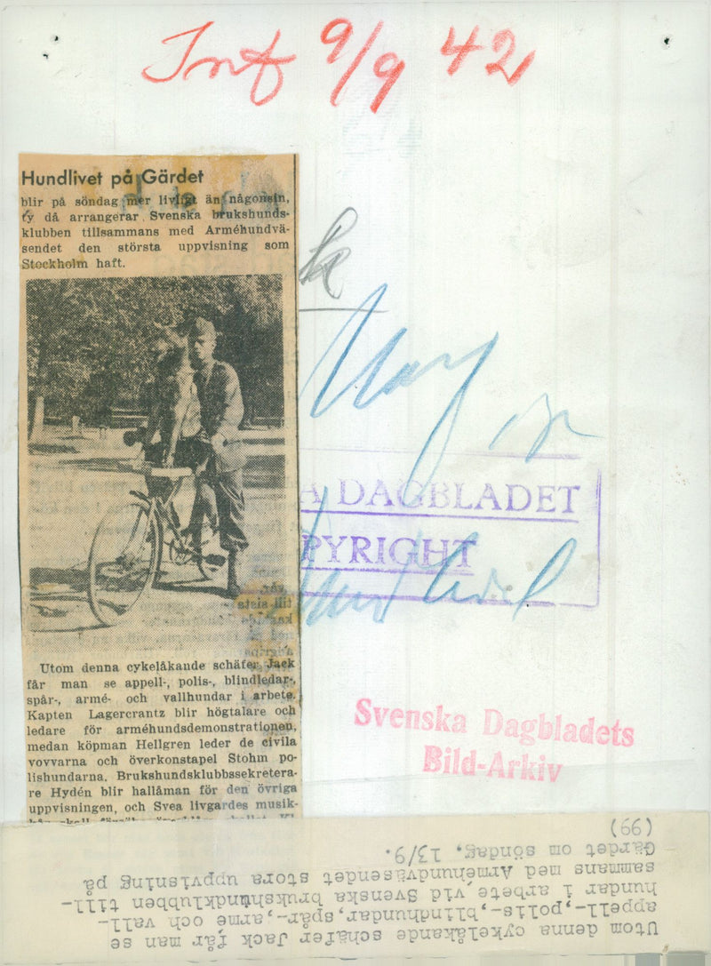 Swedish Military Army Dogs - Vintage Photograph