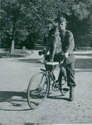 Swedish Military Army Dogs - Vintage Photograph