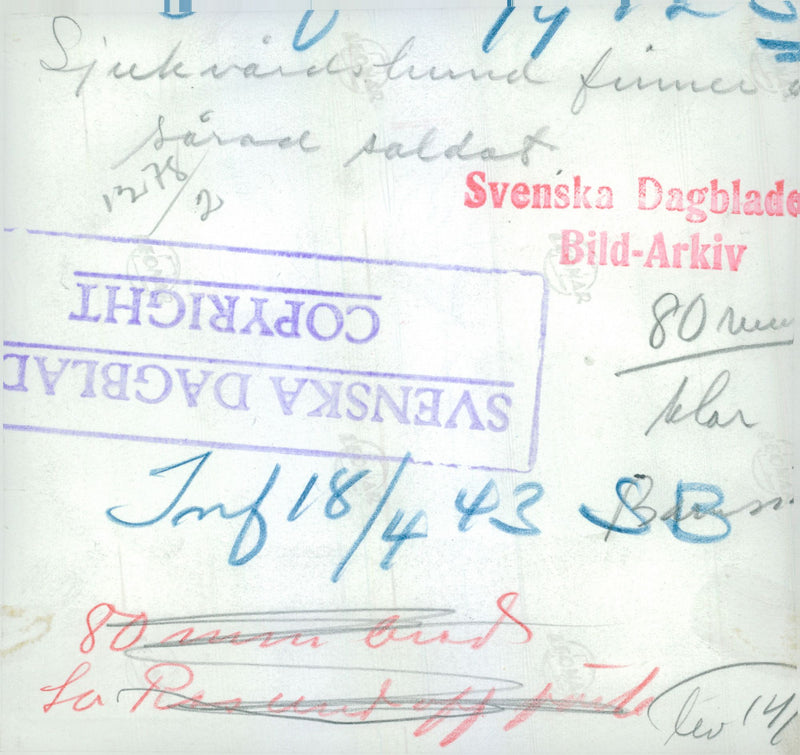 Swedish Military Army Dogs - Vintage Photograph