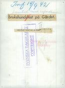 Swedish Military Army Dogs - Vintage Photograph