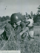 Swedish Military Army Dogs - Vintage Photograph