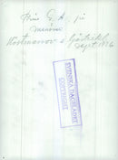 Swedish military maneuver GÃ¤strike manueuver 1936 - Vintage Photograph