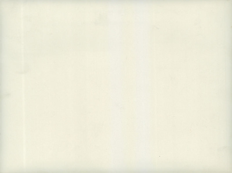 Field maneuvers 1926-1928 - Vintage Photograph