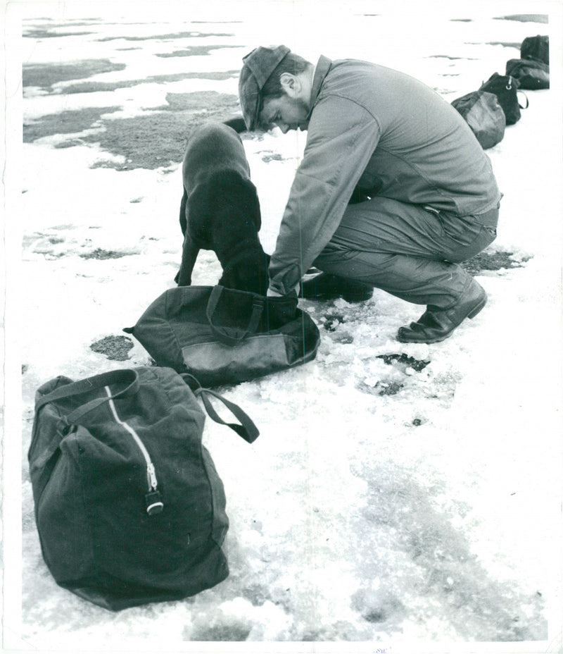 The defense arm Hundskolan in SollefteÃ¥. - Vintage Photograph