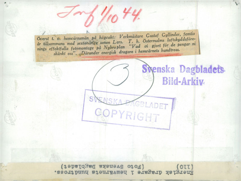 Swedish Military Army Dogs - Vintage Photograph