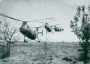 Swedish Military Army helicopters - Vintage Photograph